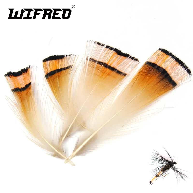 Fishing Equipment Brands - 50PCS Natürliche Farbe Goldene Fasan Kopf